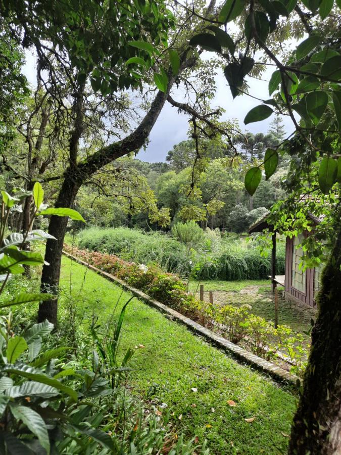 Campestres Cdg Homestay *