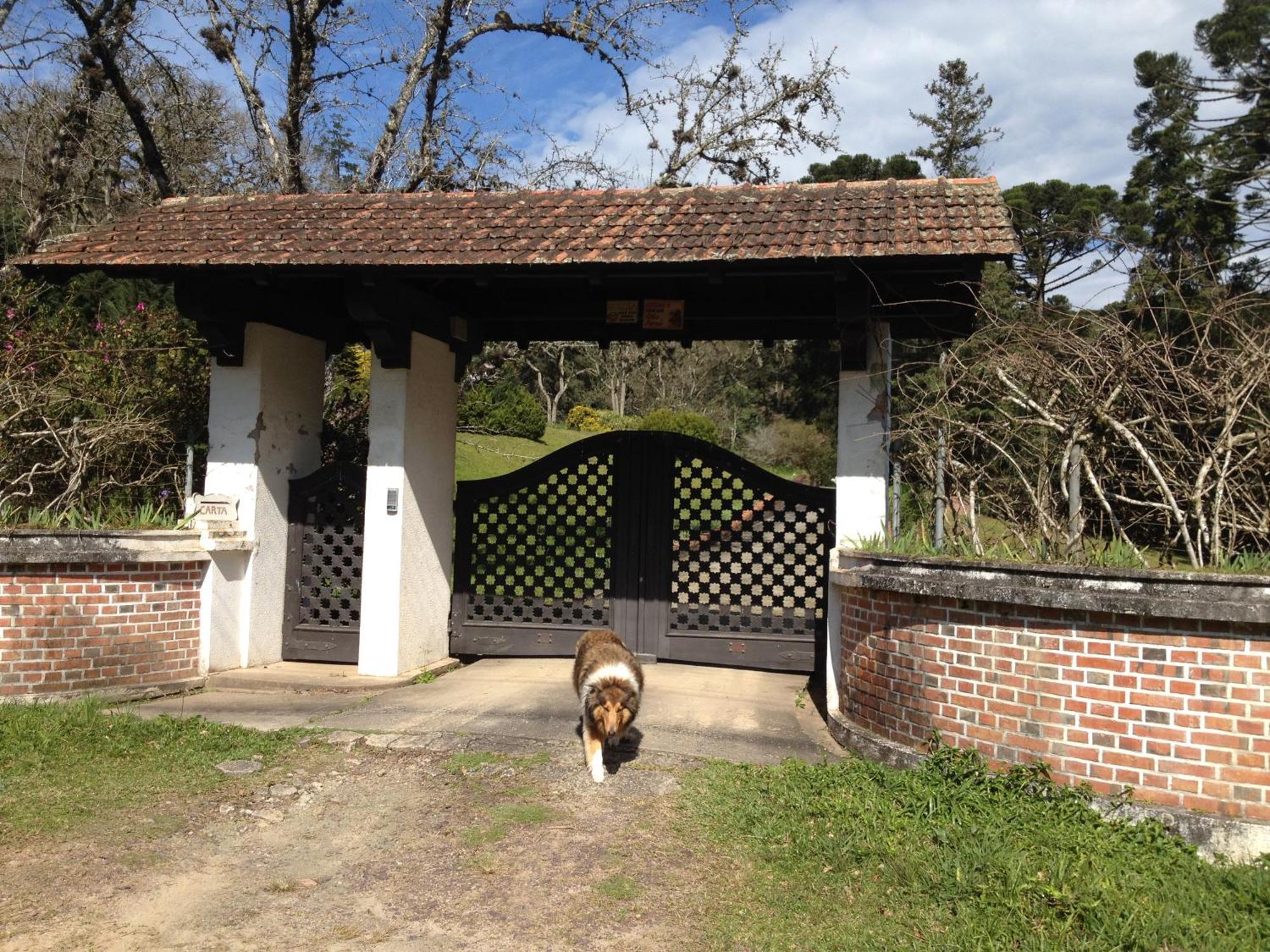 Campestres Cdg Homestay Rio Negrinho